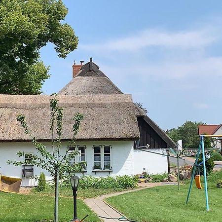 Ferienhaus Alte Schule Rambin Auf Ruegen Eksteriør billede